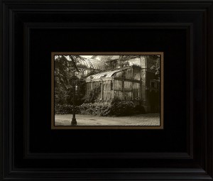 abandoned-greenhouse-belgium