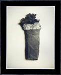 Homage to Irving Penn 4, 4x5in