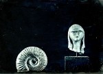 Dame de Brassempouy et ammonite