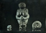 Vénus de Willendorf et fossiles